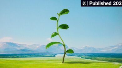 10 Ideas for Reflecting at the End of the School Year