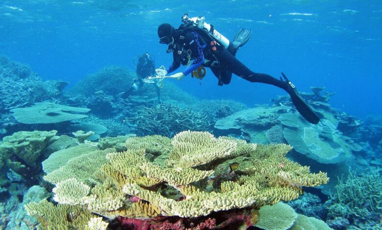 Here are all the positive environmental stories from 2022