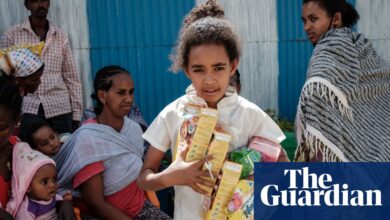 ‘A colonial mindset’: why global aid agencies need to get out of the way | Global development