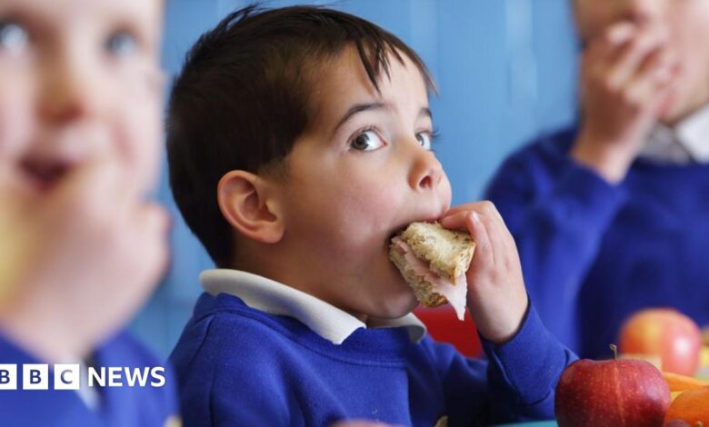 Free school meals: NI ‘holiday hunger’ payments axed Free school meals: NI ‘holiday hunger’ payments axed