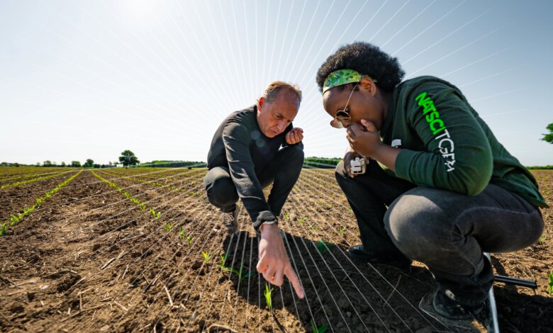 MSU launches most ambitious comprehensive fundraising campaign to date | MSUToday MSU launches most ambitious comprehensive fundraising campaign to date | MSUToday
