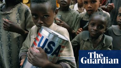 ‘The impact has been devastating’: how USAid freeze sent shockwaves through Ethiopia | Global development