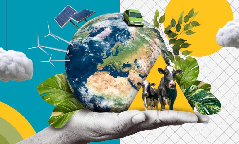 Eight simple things you can do for the environment Eight simple things you can do for the environment