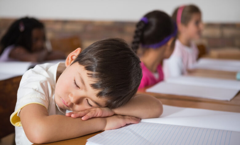 Children who nap midday are happier, excel academically, and have fewer behavioral problems
