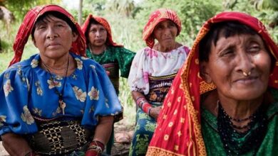 New report lists Indigenous Women’s response to climate, human rights crisis – EnviroNews