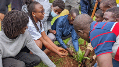 International Youth Day: Its Origins and the Promise of Youth Leadership