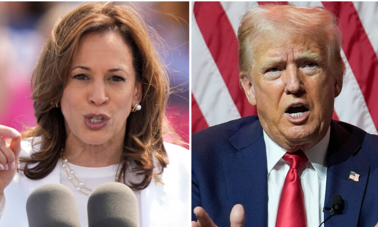 Education policy: How Kamala Harris and Donald Trump differ on K-12, higher education and more Education policy: How Kamala Harris and Donald Trump differ on K-12, higher education and more