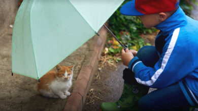 KINDNESS WEEK – November 10-16, 2025