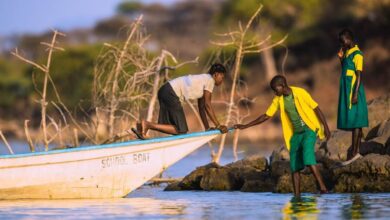 Building Climate Resilient Food Systems in Tanzania and Photo exhibition “Capturing Climate Change” | Tanzania