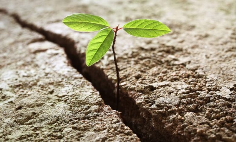 Hope is the key to a meaningful life, according to new research Hope is the key to a meaningful life, according to new research