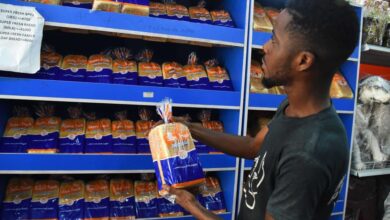 Ukraine/Russia: As War Continues, Africa Food Crisis Looms