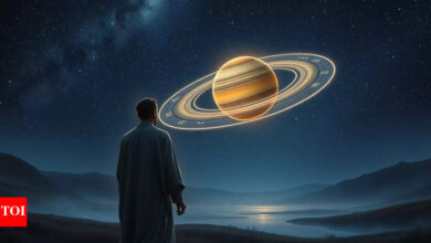 Daily Shani Predictions, October 8, 2025: Saturn brings a reality check in career matters